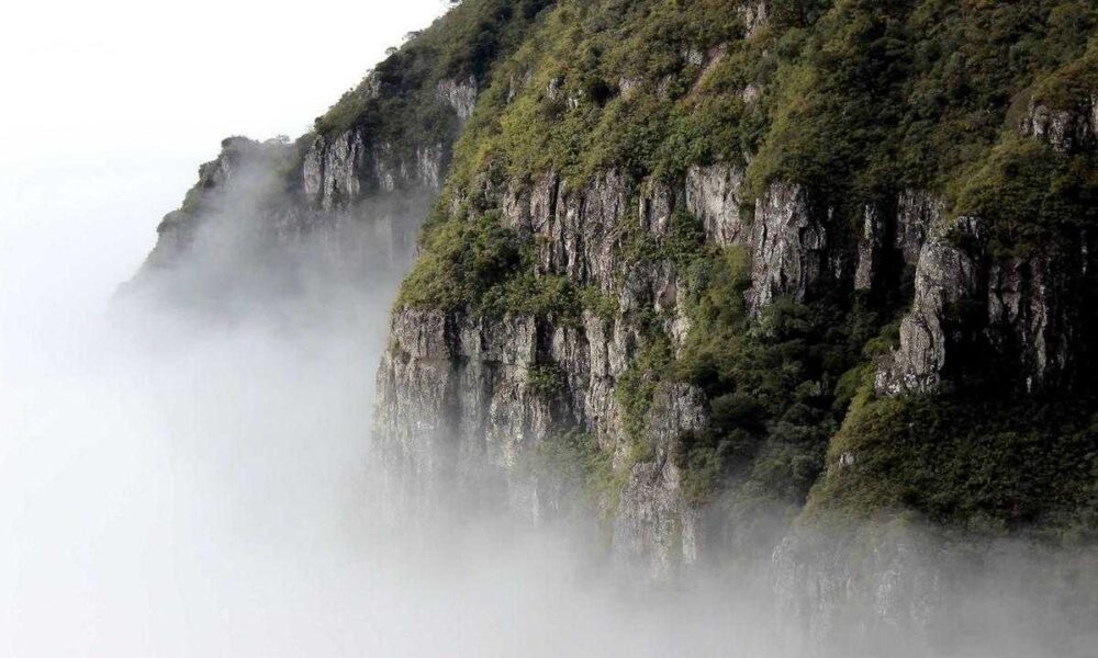 Practical Automation