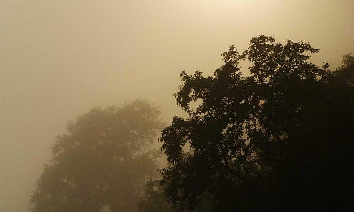 sustainable minimalism