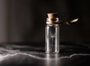 Home Preservation Guide Livpristclean