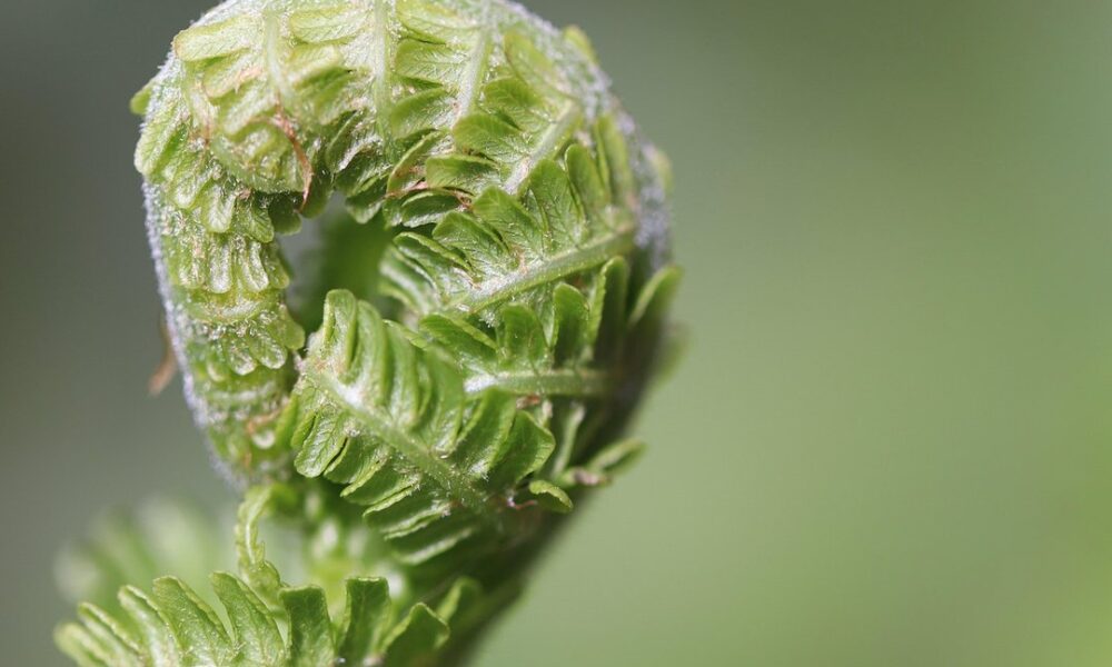 Home Tips Heartomenal