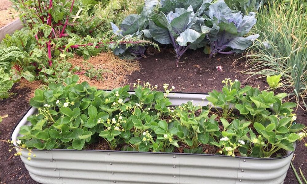 Homemendous Garden Infoguide by Homehearted