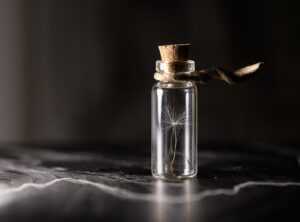 House Preservation Guide Livpristclean