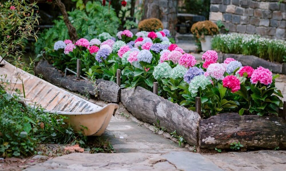 How to Upgrade My Garden Homemendous