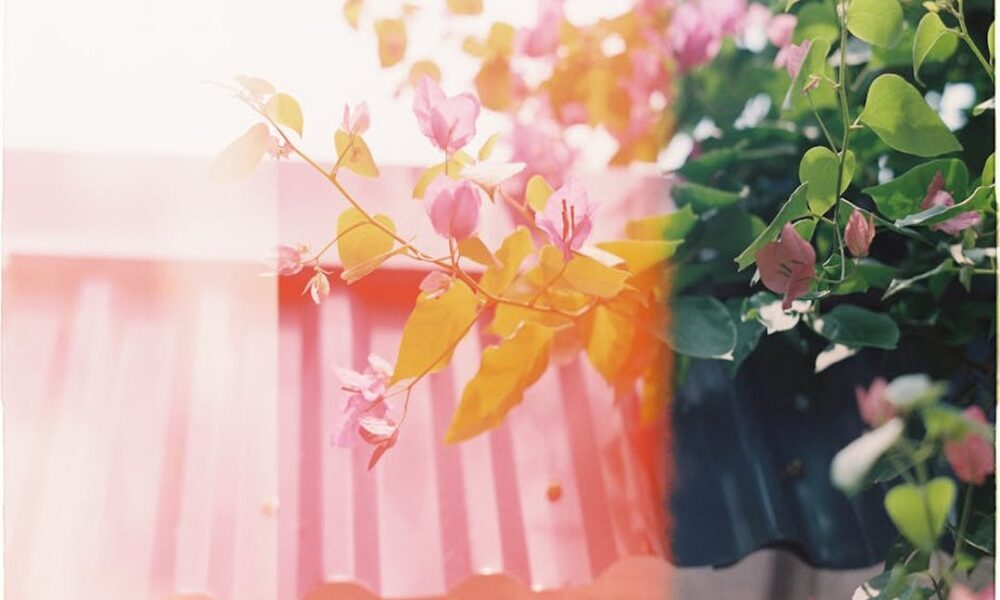 imskirby onlyfans leaked