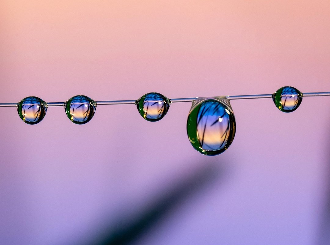 Livpristclean Home Guidance by Livingpristine