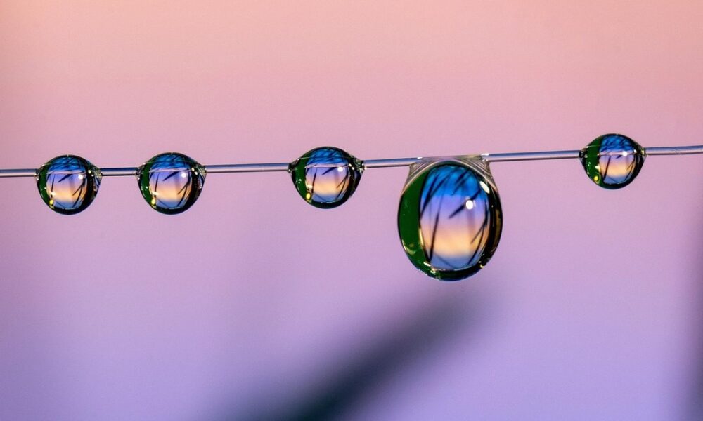 Livpristclean Home Guidelines by Livingpristine