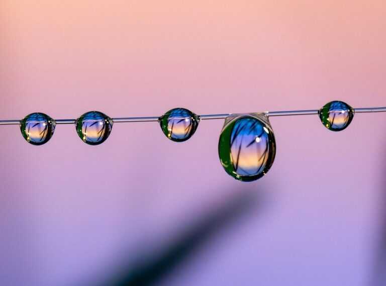 Livpristclean Home Guidelines by Livingpristine