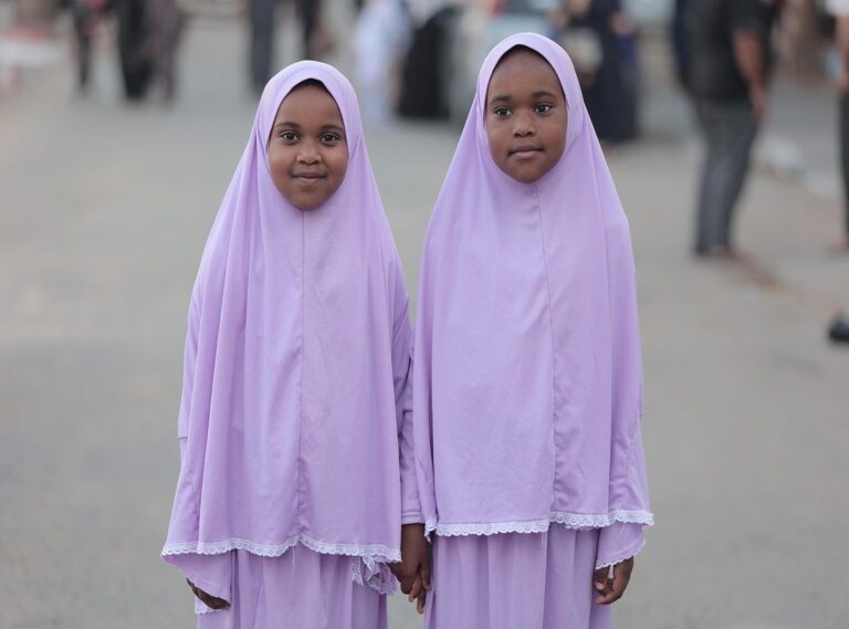 malaysia palestine wallpaper