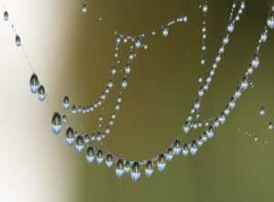 wawebwaweb