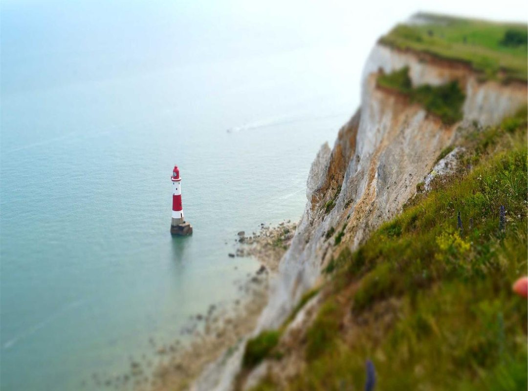 Frequently Asked Questions (FAQs)