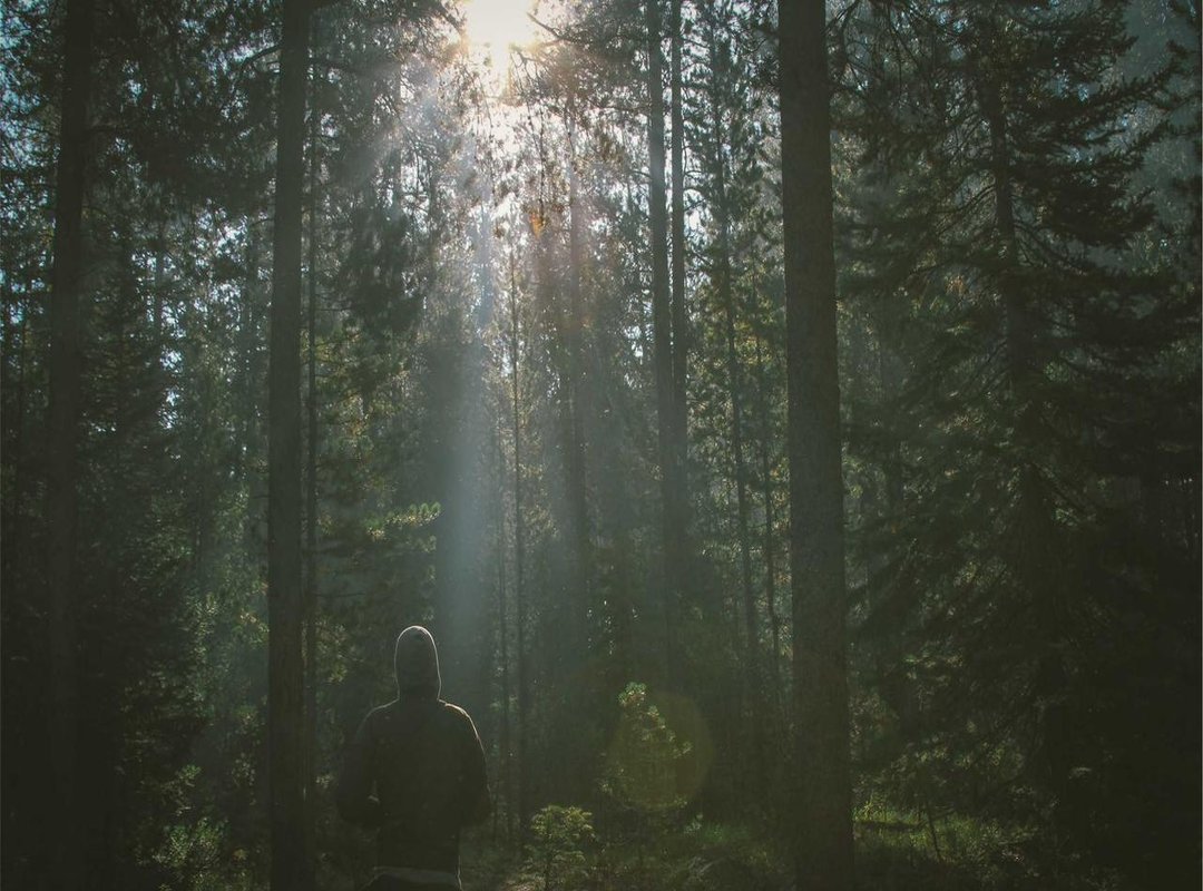 Tracing the Origins: Where Did This Bizarre Meme Come From?