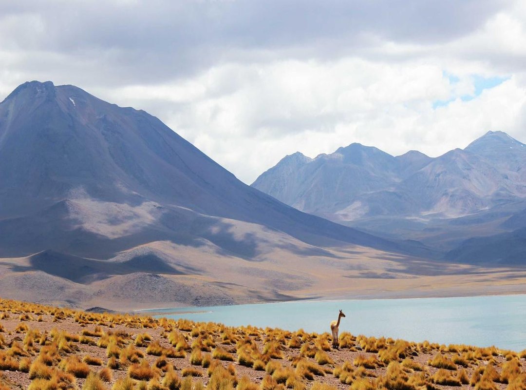 Advanced Options: Using Photo Recovery Software