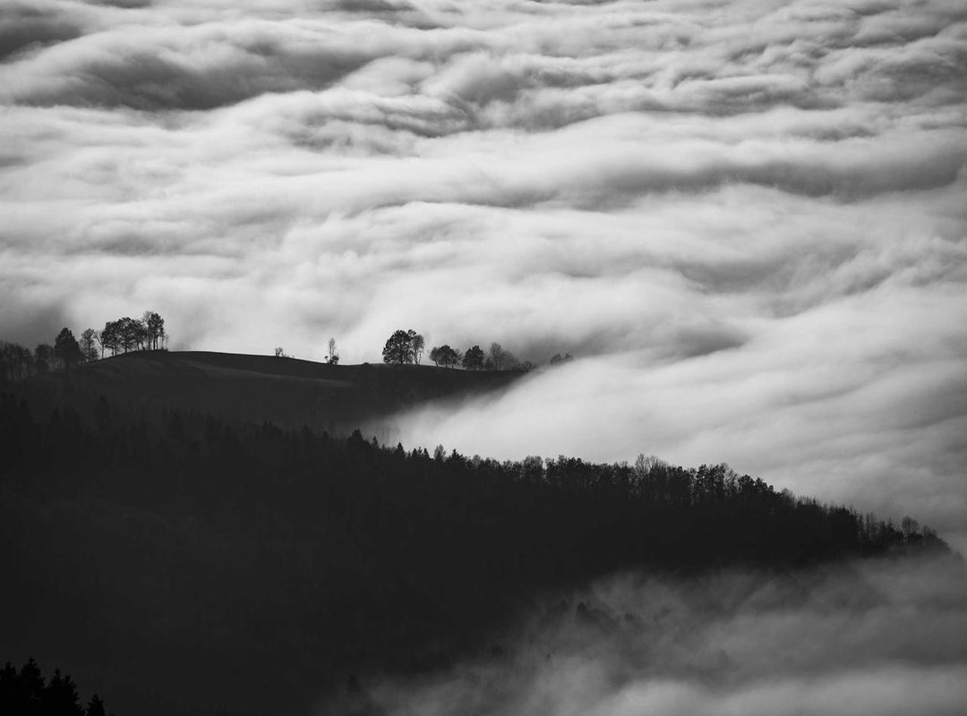 From Sketch to Masterpiece: Inking and Coloring Your Creation