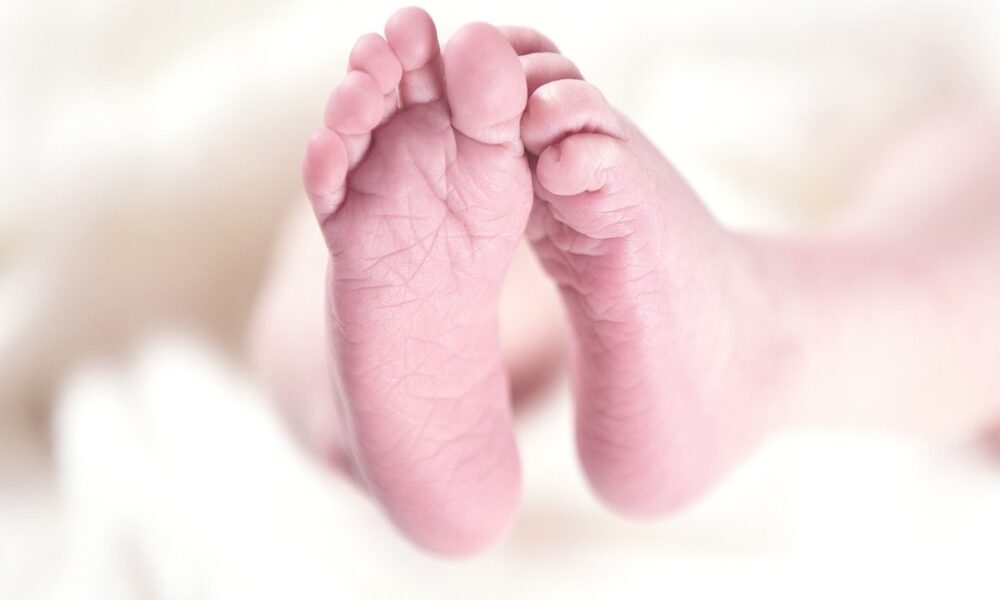 skin roblox fille cute