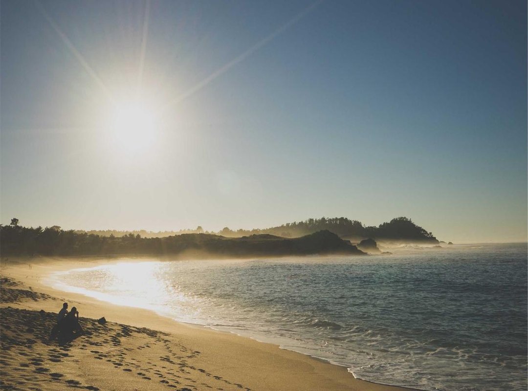 Getting Started: Is This Protocol Right for You?