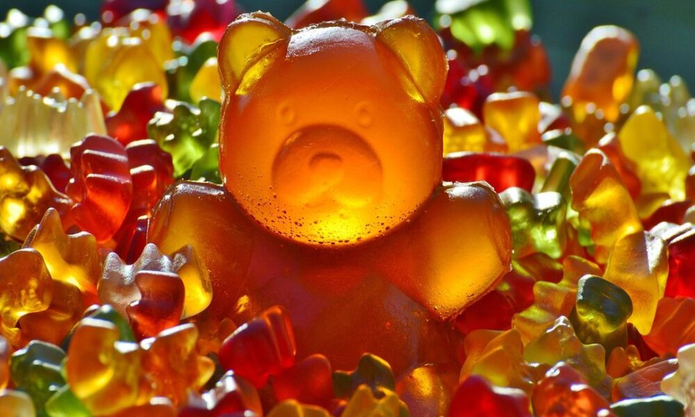 wat betekent pookie bear